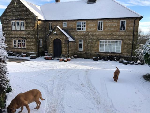 Whiteways Farmhouse Buckland Newton Zewnętrze zdjęcie